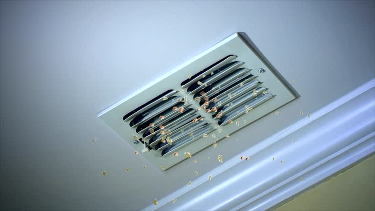 Best HVAC System Cleaning  in Delta Junction, AK