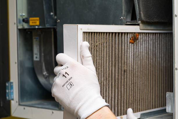 Best Air Duct Mold Removal  in Delta Junction, AK