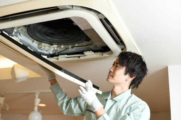 Best HVAC Duct Inspection Services  in Delta Junction, AK