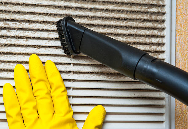 Best Affordable Duct Cleaning Services  in Delta Junction, AK