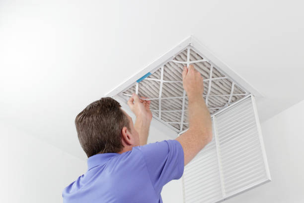Best Local Air Duct Cleaning Services  in Delta Junction, AK